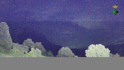 Webcams