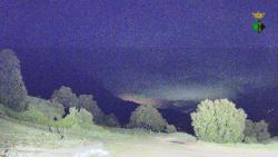 Webcams