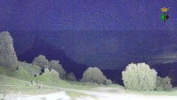 Webcams