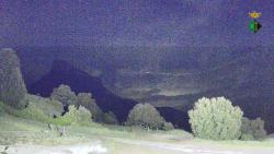 Webcams