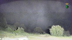 Webcams