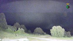 Webcams