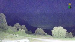 Webcams