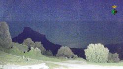 Webcams