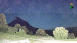 Webcams