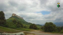 Webcams