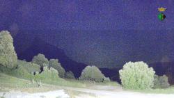 Webcams