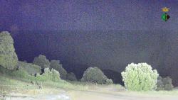 Webcams