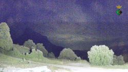 Webcams