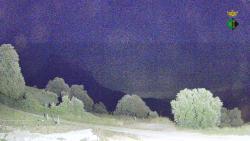 Webcams