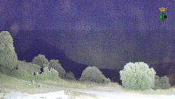 Webcams
