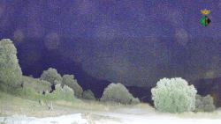 Webcams