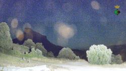 Webcams