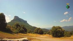 Webcams
