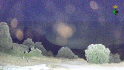 Webcams
