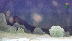 Webcams
