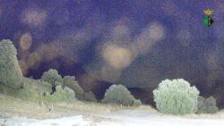 Webcams