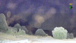 Webcams