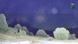 Webcams