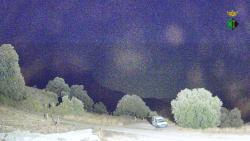 Webcams