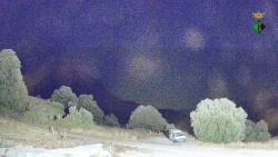 Webcams