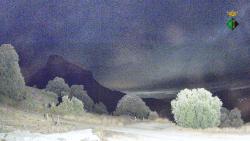 Webcams
