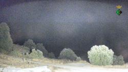 Webcams