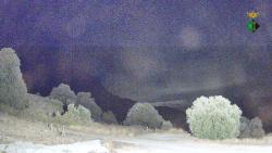 Webcams