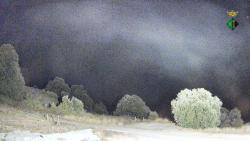 Webcams