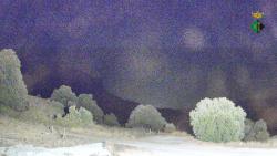 Webcams