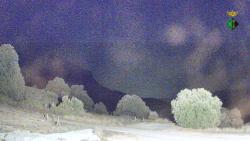 Webcams