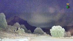Webcams
