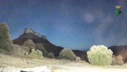 Webcams