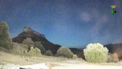Webcams