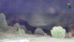 Webcams