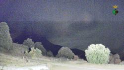 Webcams