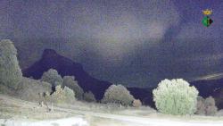 Webcams