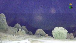 Webcams