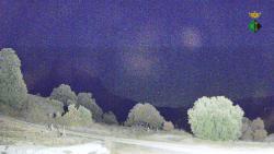Webcams