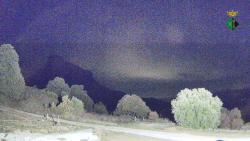 Webcams