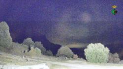 Webcams