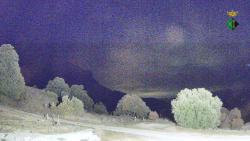 Webcams
