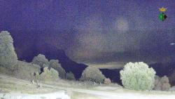 Webcams