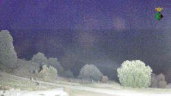 Webcams