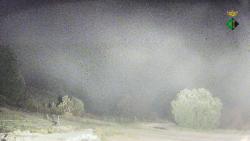 Webcams