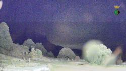 Webcams