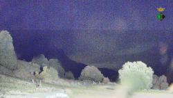 Webcams
