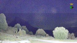 Webcams