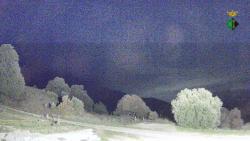 Webcams