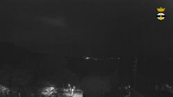 Webcams